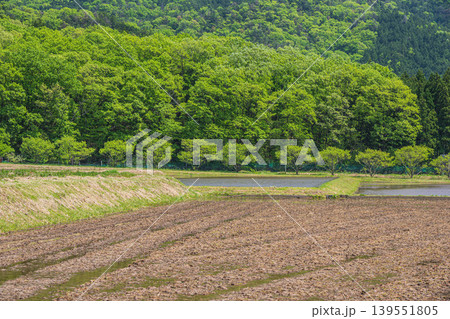 奥琵琶湖の田園風景 滋賀県長浜市西浅井町 奥琵琶湖の田園風景 滋賀県長浜市西浅井町 139551805