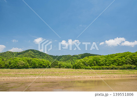 奥琵琶湖の田園風景 滋賀県長浜市西浅井町 奥琵琶湖の田園風景 滋賀県長浜市西浅井町 139551806
