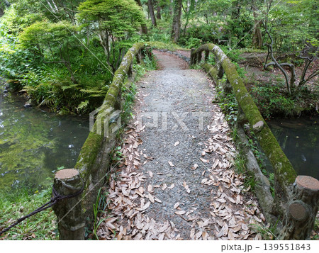苔むしたアーチ型の橋 苔むしたアーチ型の橋 139551843