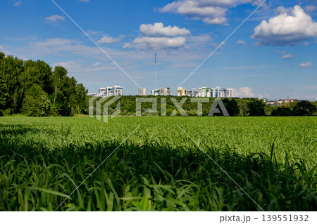 Green grass on a large agricultural field outside the city against a blue sky with white clouds Green grass on a large agricultural field outside the city against a blue sky with white clouds 139551932