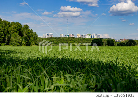 Grass on a farmer's field against the backdrop of urban development Grass on a farmer's field against the backdrop of urban development 139551933