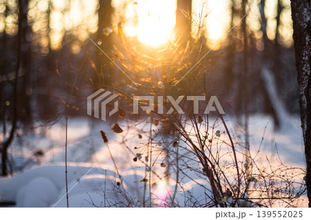 Soft background with a view of winter nature during sunset Soft background with a view of winter nature during sunset 139552025