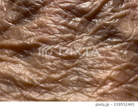 Macro image of an elderly persons skin Macro image of an elderly persons skin 139552465