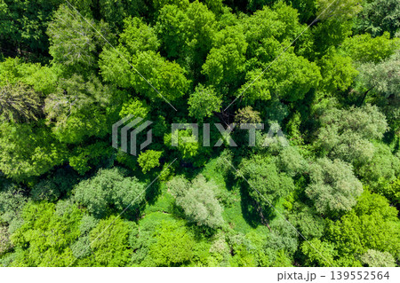 Aerial view of dense green thickets in forest area Aerial view of dense green thickets in forest area 139552564