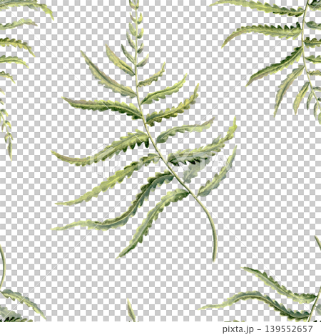 Delicate fern leaves in seamless pattern,echoing enchanted forests,Celtic heritage,untouched nature.Soft watercolor greens for eco branding,ancestral storytelling,mythical woodland themes Delicate fern leaves in seamless pattern,echoing enchanted forests,Celtic heritage,untouched nature.Soft watercolor greens for eco branding,ancestral storytelling,mythical woodland themes 139552657