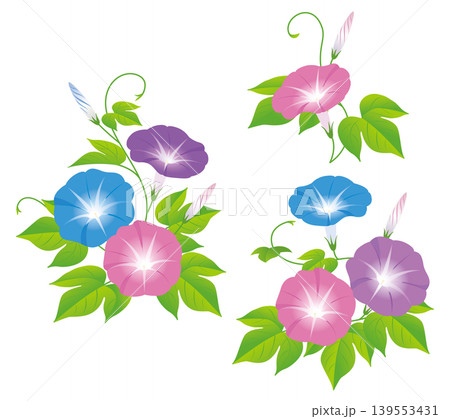 夏の花朝顔07 夏の花朝顔07 139553431
