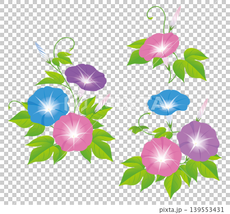夏の花朝顔07 夏の花朝顔07 139553431