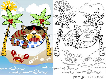 Funny cat sleeping on hammock with crab in the beach, coloring book or page, vector cartoon illustration Funny cat sleeping on hammock with crab in the beach, coloring book or page, vector cartoon illustration 139553484