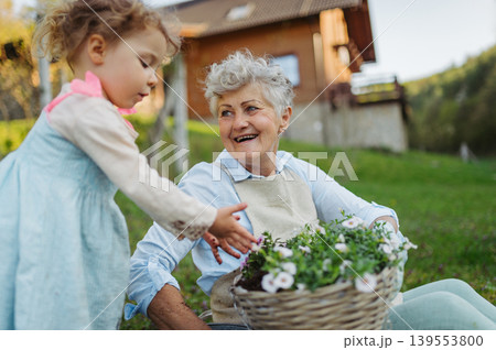 Elderly woman and little granddaughter planting flowers together in spring garden. Elderly woman and little granddaughter planting flowers together in spring garden. 139553800