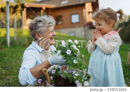 Elderly woman and little granddaughter planting flowers together in spring garden. 139553802