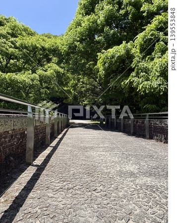 碓氷第三橋梁_めがね橋の上を歩ける遊歩道アプトの道_6号トンネル_新緑の季節 碓氷第三橋梁_めがね橋の上を歩ける遊歩道アプトの道_6号トンネル_新緑の季節 139553848
