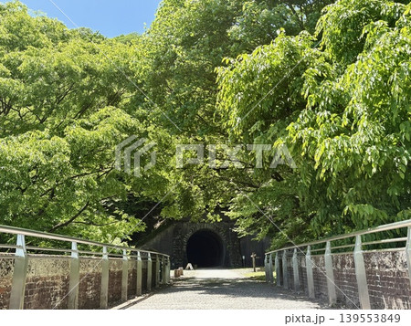 碓氷第三橋梁_めがね橋の上を歩ける遊歩道アプトの道_6号トンネル_新緑の季節 139553849