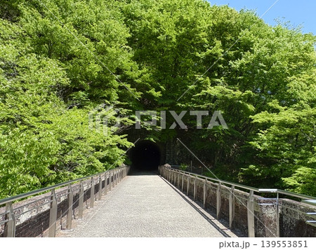 碓氷第三橋梁_めがね橋の上を歩ける遊歩道アプトの道_5号トンネル_新緑の季節 碓氷第三橋梁_めがね橋の上を歩ける遊歩道アプトの道_5号トンネル_新緑の季節 139553851