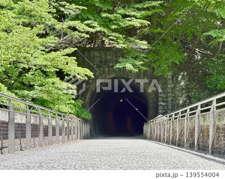 群馬県安中市碓氷第三橋梁_めがね橋の上を歩ける遊歩道アプトの道の5号トンネル 139554004