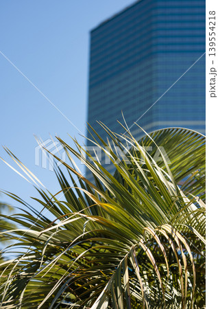 Modern high rise residential buildings with glass facades against a clear blue sky. Modern high rise residential buildings with glass facades against a clear blue sky. 139554218