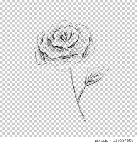 薔薇の花 薔薇の花 139554609