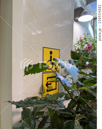 Indoor plant leaves partially obscure a yellow wheelchair accessibility sign on a wall Indoor plant leaves partially obscure a yellow wheelchair accessibility sign on a wall 139554881