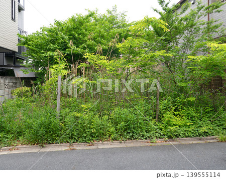 樹木が生い茂った住宅街の空き地　東京都 139555114