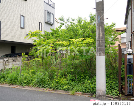 樹木が生い茂った住宅街の空き地 東京都 樹木が生い茂った住宅街の空き地 東京都 139555115