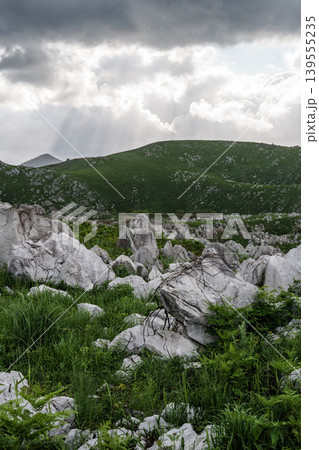 曇天の山口県秋吉台 日本最大級のカルスト台地風景 139555235