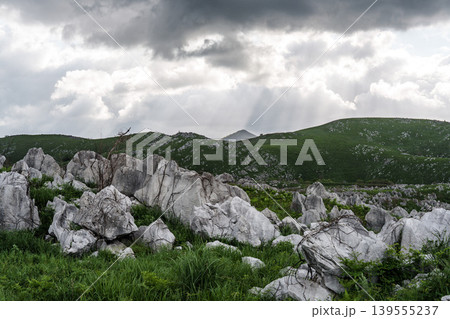 曇天の山口県秋吉台 日本最大級のカルスト台地風景 139555237