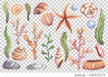 Seashells and seaweed, isolated watercolor set. Colorful hand drawn corals and starfish. Marine life clip art, underwater world for stickers, postcards, and promotional materials. Seashells and seaweed, isolated watercolor set. Colorful hand drawn corals and starfish. Marine life clip art, underwater world for stickers, postcards, and promotional materials. 139555273