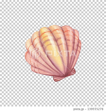 Seashell, isolated watercolor illustration. Colorful hand-drawn fan-shaped mollusk shell in pink. Marine life clipart, underwater world for stickers, cards, and packaging. Seashell, isolated watercolor illustration. Colorful hand-drawn fan-shaped mollusk shell in pink. Marine life clipart, underwater world for stickers, cards, and packaging. 139555278
