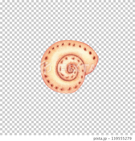 Spiral seashell, isolated watercolor illustration. Colorful hand drawn mollusk shell in pink. Marine life clipart, underwater world for stickers, cards, and packaging. Spiral seashell, isolated watercolor illustration. Colorful hand drawn mollusk shell in pink. Marine life clipart, underwater world for stickers, cards, and packaging. 139555279