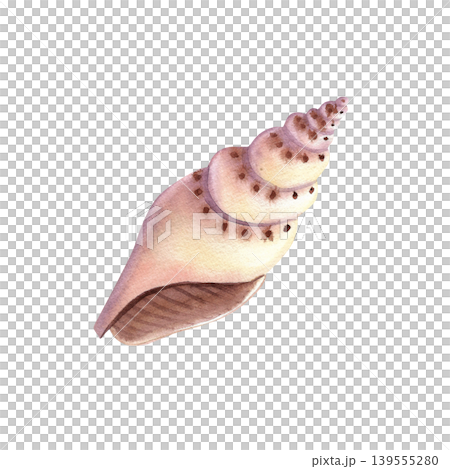 Seashell, isolated watercolor illustration. Colorful spiral-shaped mollusk shell, hand-drawn in pink. Marine life clip art, underwater world for stickers, cards, and packaging. Seashell, isolated watercolor illustration. Colorful spiral-shaped mollusk shell, hand-drawn in pink. Marine life clip art, underwater world for stickers, cards, and packaging. 139555280