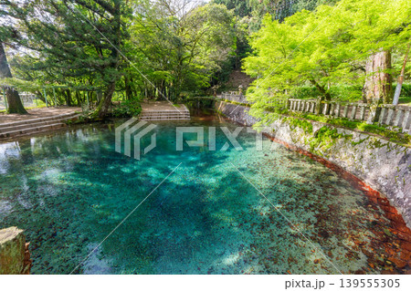 山口県美祢市 日本名水百選の別府弁天池と美しい湧水 別府厳島神社 山口県美祢市 日本名水百選の別府弁天池と美しい湧水 別府厳島神社 139555305