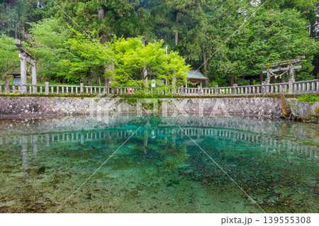 山口県美祢市 日本名水百選の別府弁天池と美しい湧水 別府厳島神社 山口県美祢市 日本名水百選の別府弁天池と美しい湧水 別府厳島神社 139555308