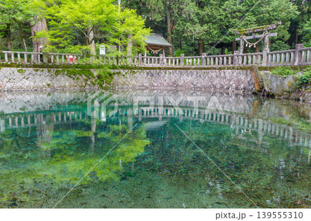 山口県美祢市 日本名水百選の別府弁天池と美しい湧水 別府厳島神社 山口県美祢市 日本名水百選の別府弁天池と美しい湧水 別府厳島神社 139555310