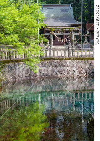 山口県美祢市 日本名水百選の別府弁天池と美しい湧水 別府厳島神社 山口県美祢市 日本名水百選の別府弁天池と美しい湧水 別府厳島神社 139555312