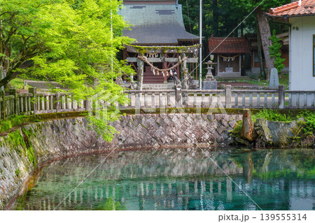 山口県美祢市 日本名水百選の別府弁天池と美しい湧水 別府厳島神社 山口県美祢市 日本名水百選の別府弁天池と美しい湧水 別府厳島神社 139555314