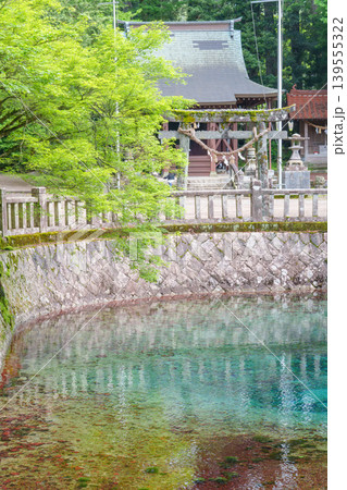 山口県美祢市 日本名水百選の別府弁天池と美しい湧水 別府厳島神社 山口県美祢市 日本名水百選の別府弁天池と美しい湧水 別府厳島神社 139555322