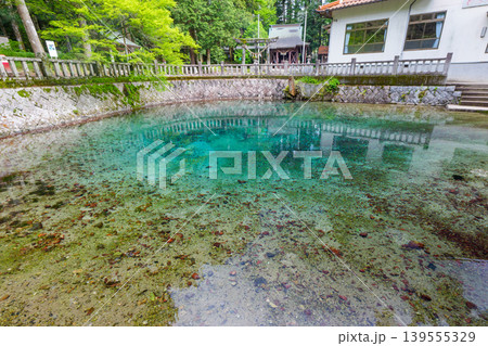 山口県美祢市 日本名水百選の別府弁天池と美しい湧水 別府厳島神社 山口県美祢市 日本名水百選の別府弁天池と美しい湧水 別府厳島神社 139555329