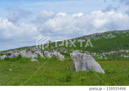 新緑が美しい5月の秋吉台 日本最大級のカルスト台地風景 新緑が美しい5月の秋吉台 日本最大級のカルスト台地風景 139555498