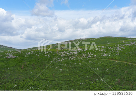 新緑が美しい5月の秋吉台 日本最大級のカルスト台地風景 新緑が美しい5月の秋吉台 日本最大級のカルスト台地風景 139555510
