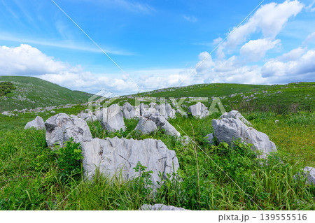新緑が美しい5月の秋吉台 日本最大級のカルスト台地風景 新緑が美しい5月の秋吉台 日本最大級のカルスト台地風景 139555516