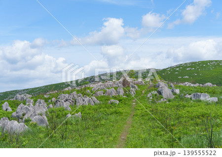 新緑が美しい5月の秋吉台 日本最大級のカルスト台地風景 新緑が美しい5月の秋吉台 日本最大級のカルスト台地風景 139555522