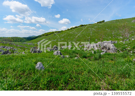 山口県美祢市秋吉台 ゴールデンウィークのカルスト台地絶景ハイキング 139555572