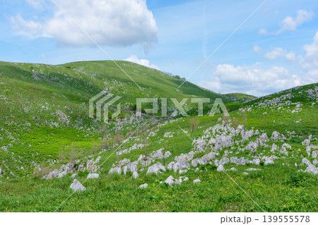 山口県美祢市秋吉台 ゴールデンウィークのカルスト台地絶景ハイキング 山口県美祢市秋吉台 ゴールデンウィークのカルスト台地絶景ハイキング 139555578
