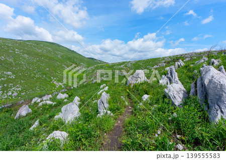 山口県美祢市秋吉台 ゴールデンウィークのカルスト台地絶景ハイキング 山口県美祢市秋吉台 ゴールデンウィークのカルスト台地絶景ハイキング 139555583