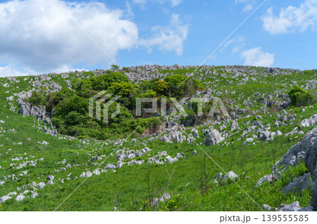 山口県美祢市秋吉台 ゴールデンウィークのカルスト台地絶景ハイキング 山口県美祢市秋吉台 ゴールデンウィークのカルスト台地絶景ハイキング 139555585
