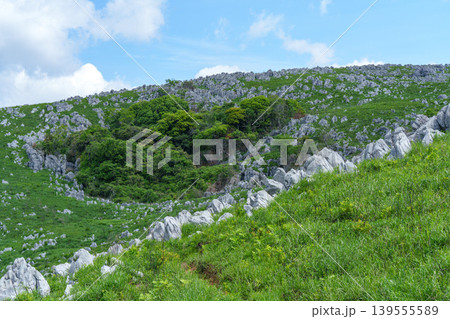 山口県美祢市秋吉台 ゴールデンウィークのカルスト台地絶景ハイキング 山口県美祢市秋吉台 ゴールデンウィークのカルスト台地絶景ハイキング 139555589