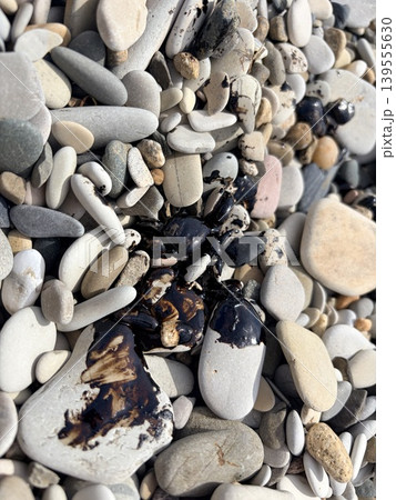 Coastal pebbles smeared with black fuel oil or drops of oil Coastal pebbles smeared with black fuel oil or drops of oil 139555630