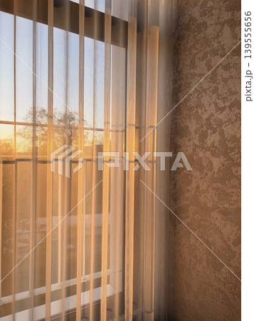 Warm, golden sunlight filters through the window from the outside, Warm, golden sunlight filters through the window from the outside, 139555656