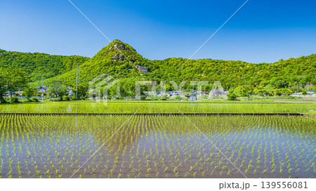 近江平野の田んぼから赤神山(太郎坊山)の景観 滋賀県東近江市 近江平野の田んぼから赤神山(太郎坊山)の景観 滋賀県東近江市 139556081