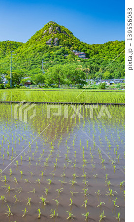 近江平野の田んぼから赤神山(太郎坊山)の景観 滋賀県東近江市 近江平野の田んぼから赤神山(太郎坊山)の景観 滋賀県東近江市 139556083
