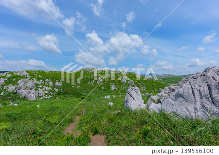 ゴールデンウィークの秋吉台 石灰岩と新緑が広がる絶景風景 ゴールデンウィークの秋吉台 石灰岩と新緑が広がる絶景風景 139556100